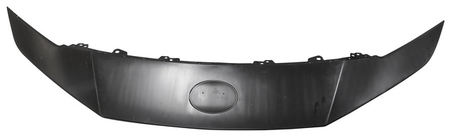 FRONT BUMPER HOOD MOULDING UPPER